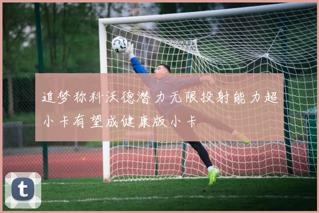 追梦称科沃德潜力无限投射能力超小卡有望成健康版小卡